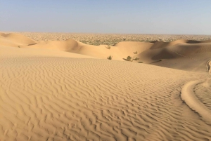 Arena y aromas del Cuarto Vacío: una odisea del incienso