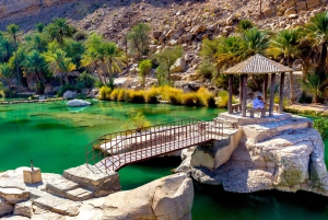 Mascate: safari nel deserto alle Wahiba Sands e sand bashing al tramonto