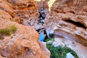 Экскурсия в Вади Шаб