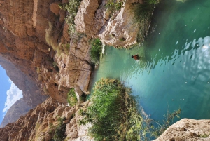 Экскурсия в Вади Шаб