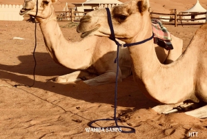 Muscat: tour di Wahiba Sands e Wadi Bani Khalid