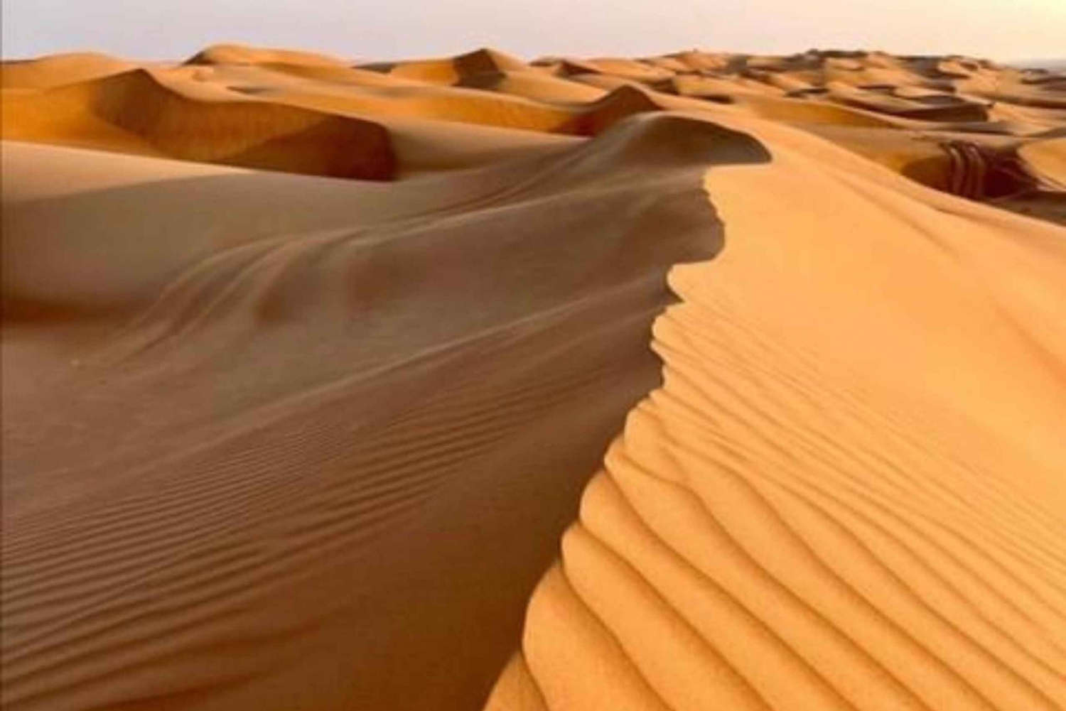 Wahiba-Wüste: Geländewagen-Safari & Wadi Bani Khalid – ein Schwimmabenteuer