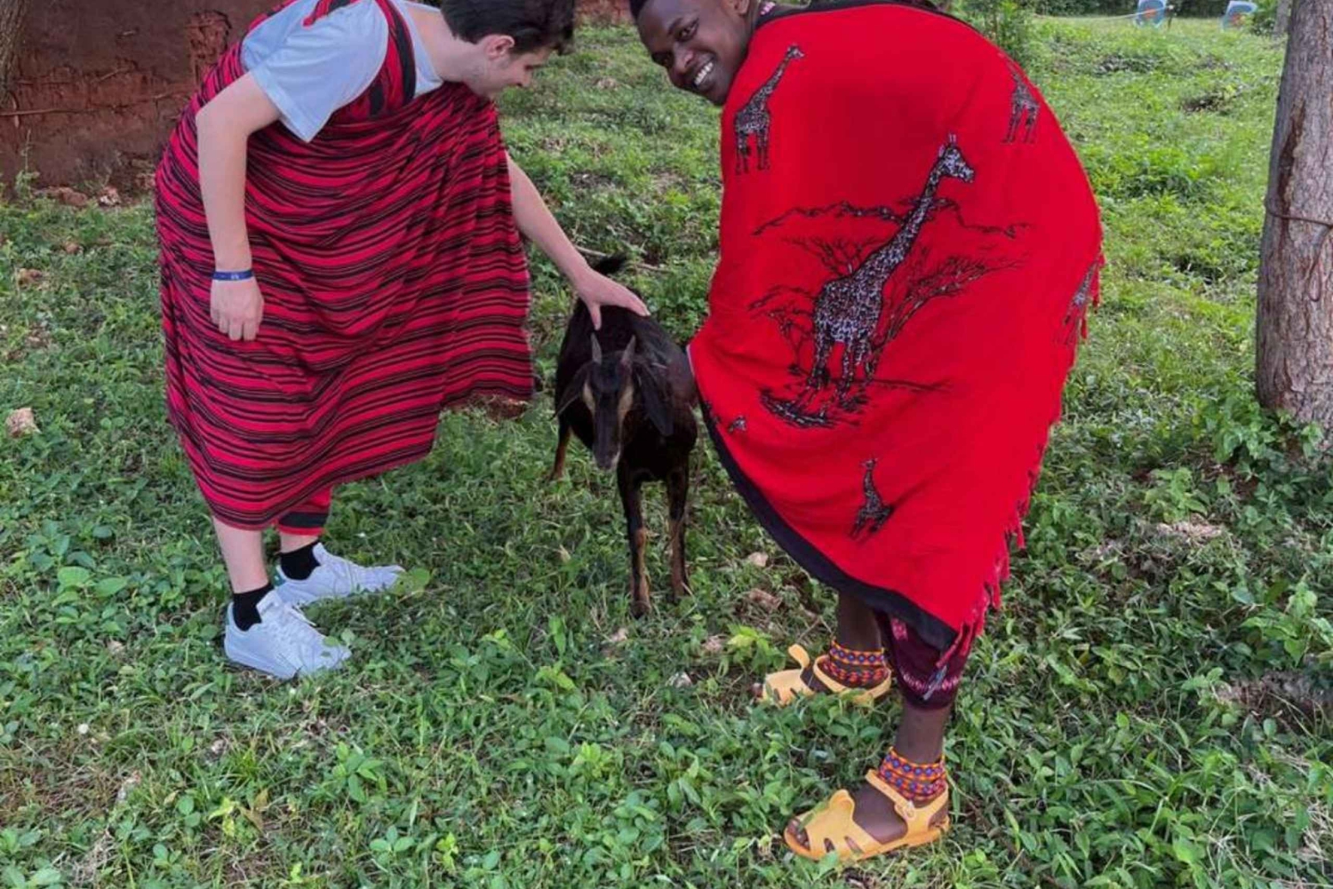 ザンジバル：マサイ族文化ツアーとウミガメ保護区をご案内いたします。