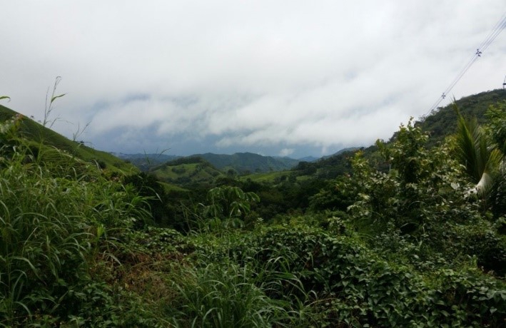 Agroculture, Bird watching, Savanna trails, Trekking and Climbing Tours