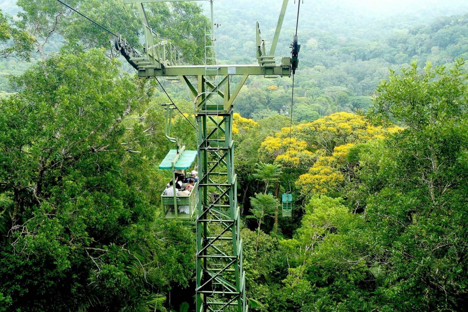 Fra Panama City: Guidet tur i Gamboa regnskog med lunsj