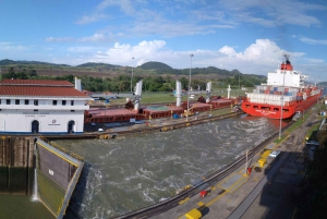 From Panama City: Panama Canal and Monkey Island Tour