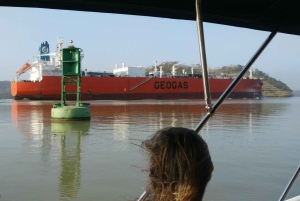 From Panama City: Panama Canal and Monkey Island Tour