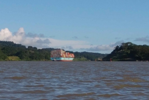 From Panama City: Panama Canal and Monkey Island Tour