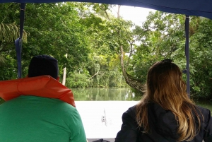 From Panama City: Panama Canal and Monkey Island Tour