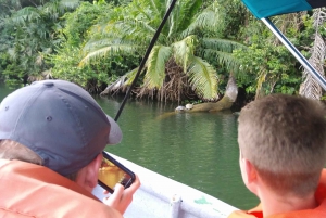 From Panama City: Panama Canal and Monkey Island Tour