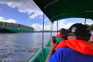 From Panama City: Panama Canal and Monkey Island Tour