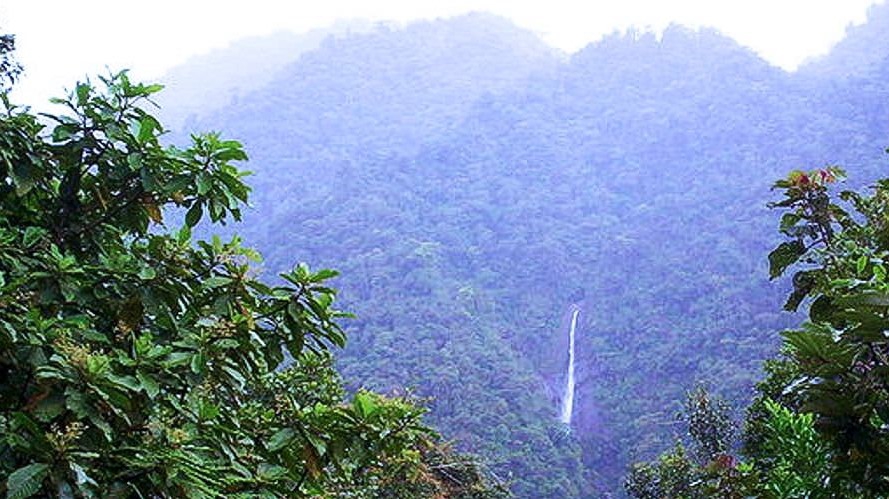 La Amistad -kansainvälinen puisto (PILA)