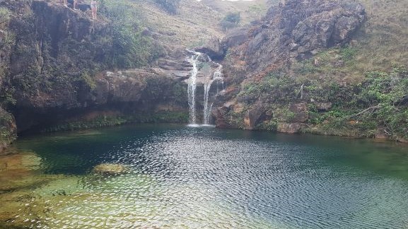 La Yeguada Forest Reserve