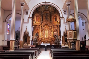 Panaman kaupunki: Puolen päivän kaupunkikierros, sisäänpääsy kanavalle ja Biomuseo-puisto