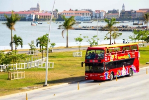 Panama City: Hop-On Hop-Off Sightseeing Bus