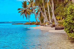 Panama City/Portobelo: Catamaran Trip w/Snorkeling and Lunch