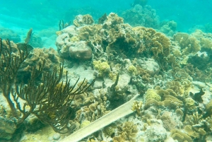 Panama City/Portobelo: Catamaran Trip w/Snorkeling and Lunch