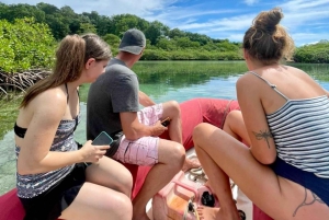 Panama City/Portobelo: Catamaran Trip w/Snorkeling and Lunch