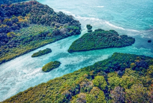 Panama City/Portobelo: Catamaran Trip w/Snorkeling and Lunch