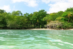 Panama City/Portobelo: Catamaran Trip w/Snorkeling and Lunch