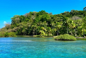 Panama City/Portobelo: Catamaran Trip w/Snorkeling and Lunch