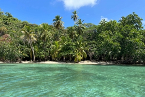 Panama City/Portobelo: Catamaran Trip w/Snorkeling and Lunch