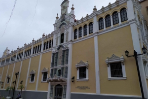 Panama City: Small-Group Miraflores Locks and City Tour