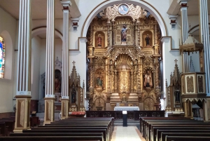 Panama City: Small-Group Miraflores Locks and City Tour