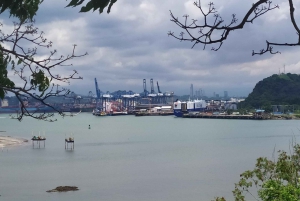 Panama City: Small-Group Miraflores Locks and City Tour