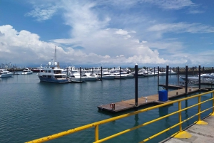 Panama City: Small-Group Miraflores Locks and City Tour