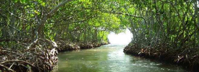 The Tunnel of Love, Portobelo