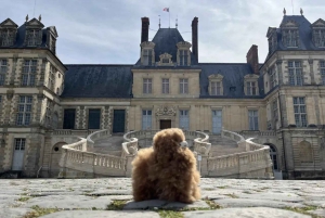 Château de Fontainebleau Half-Day Tour