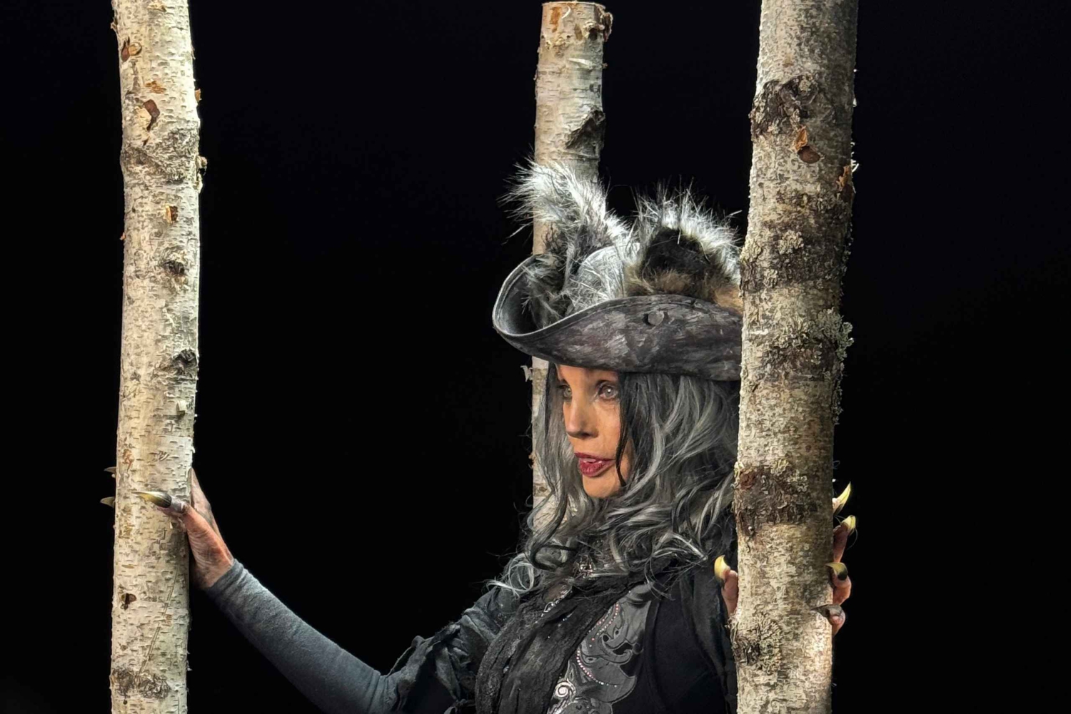 Cité Immersive des Fables - Billet d'entrée