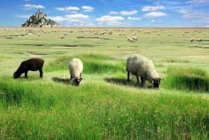 Viagem de 1 dia a Mont-Saint-Michel a partir de Paris