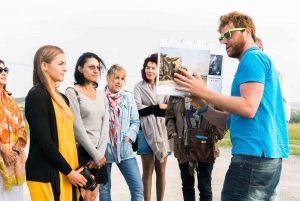 Fra Paris: Guidet dagstur til Monets hage i Giverny