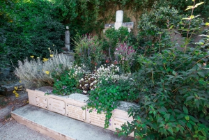 Fra Paris: Guidet dagstur til Monets hage i Giverny