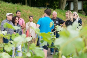 Desde París: Excursión de un día al champán en grupo reducido con seis catas