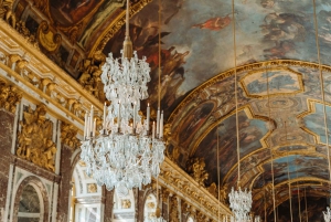 De Paris: Visita guiada de 1 dia ao Palácio e Jardins de Versalhes