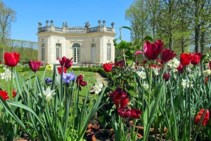 De Paris: Visita guiada de 1 dia ao Palácio e Jardins de Versalhes
