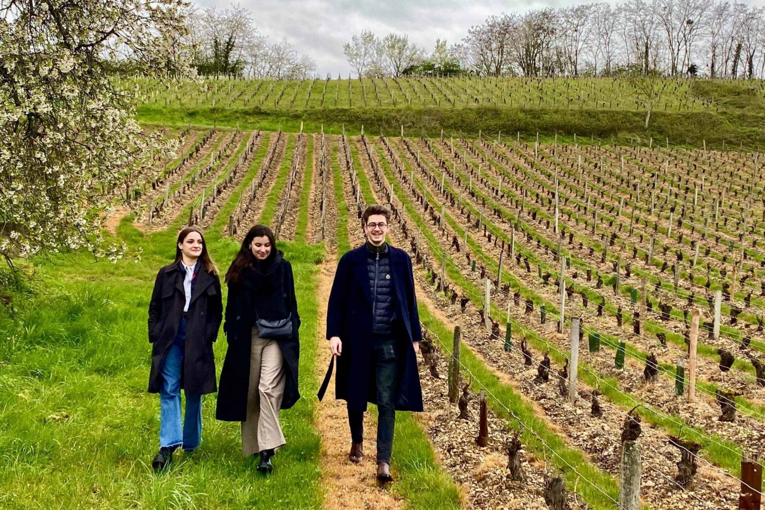 From Paris: Wine Day trip to SANCERRE w 10 Tastings & Lunch