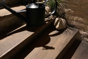 ナイロビの幻想博物館：心と謎のオデッセイをお楽しみください