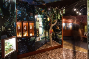 Pariisi: Pääsylippu suklaamuseoon