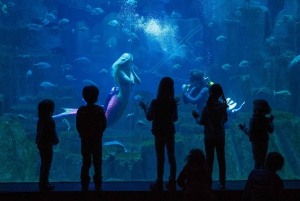 Parijs: Explorer Pass met 3, 4, 5, 6 of 7 attracties