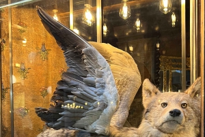 Pariisi: Hirviöt Pariisissa -kävelykierros