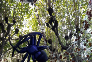 Pariisi: Hirviöt Pariisissa -kävelykierros