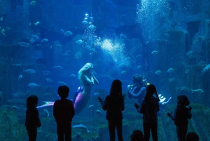 Paris Pass® Plus: Tickets voor Louvre, Eiffeltoren & 90+ meer