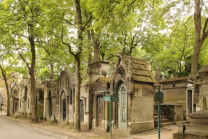 Paris: Privat heldagstur til Montmartre og Eiffeltårnet