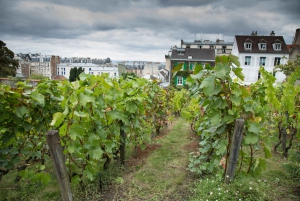 Paris: Privat heldagstur til Montmartre og Eiffeltårnet