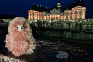 Paris: Vaux-le-Vicomte Vaux-le-Vicomte Privat guidad tur