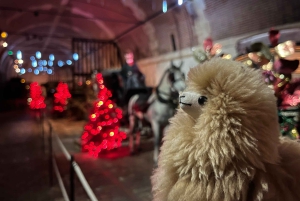 Paris: Vaux-le-Vicomte Vaux-le-Vicomte Privat guidad tur